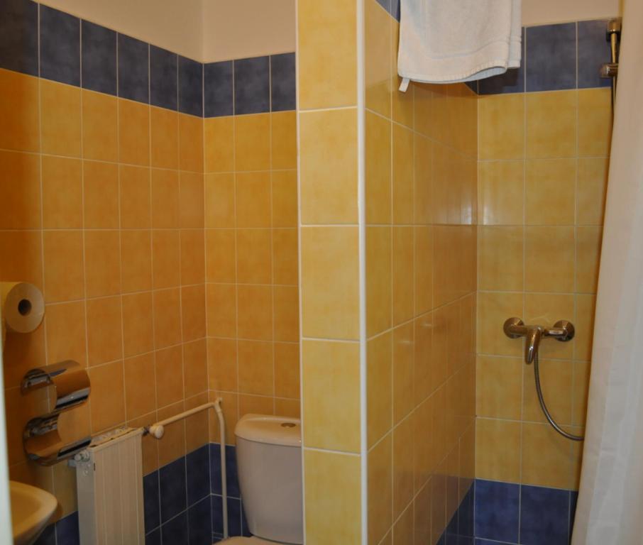 Sport Hotel Ostrov Trenčín Værelse billede